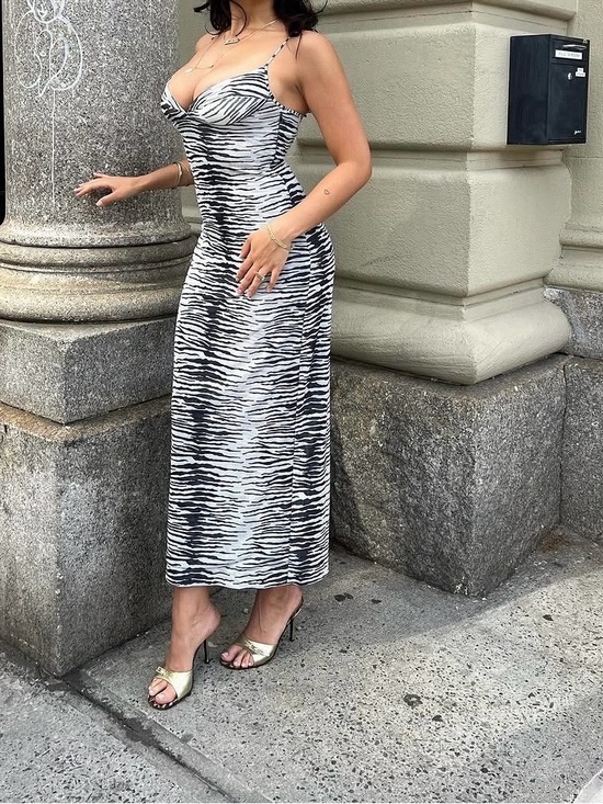 Miaou Dresses & Skirts - NWT Miaou Florence Dress in Zebra Size Large